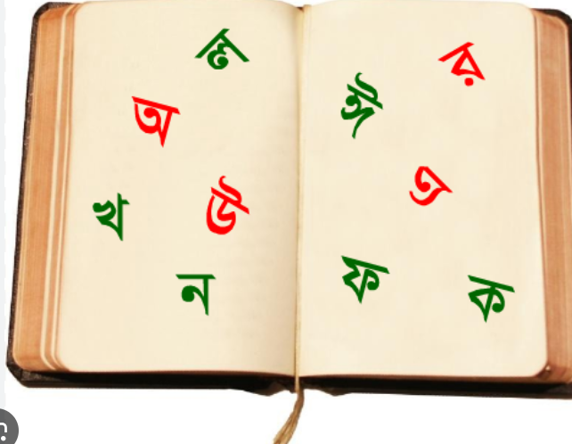 Vaginalardagi shishalar